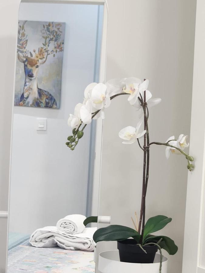 Apartamento Paula Valladolid Exterior photo